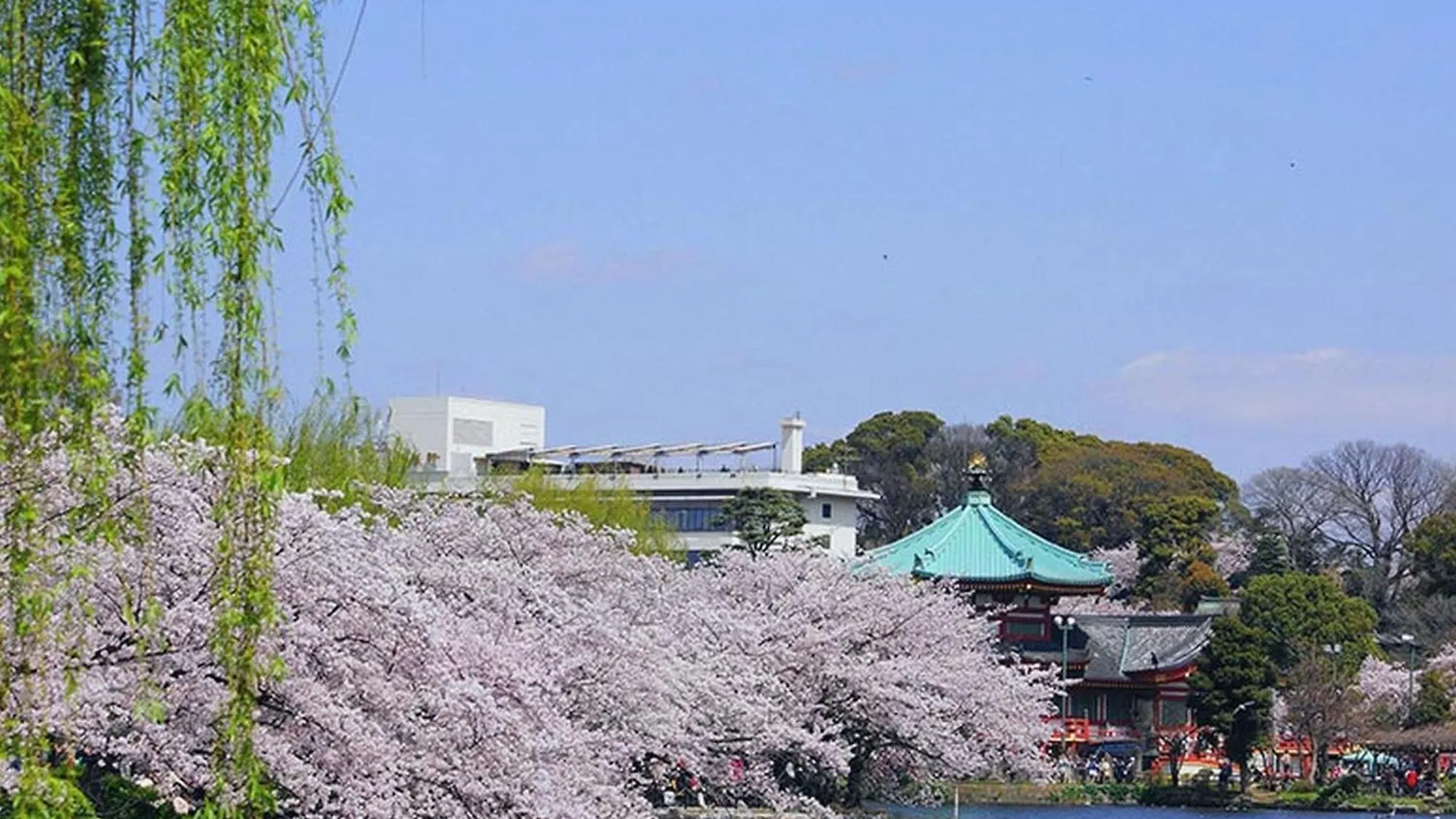 Hotel Mystays Ueno Iriyaguchi Tokyo 3*,